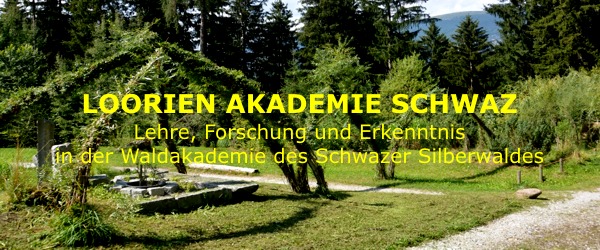 Loorien Akademie Schwazer Silberwald