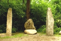 Felsenthrohn; Schwazer Silberwald; unser Wald