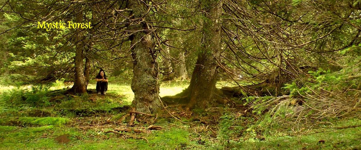 Loorien Akademie Schwaz - Schwazer Silberwald